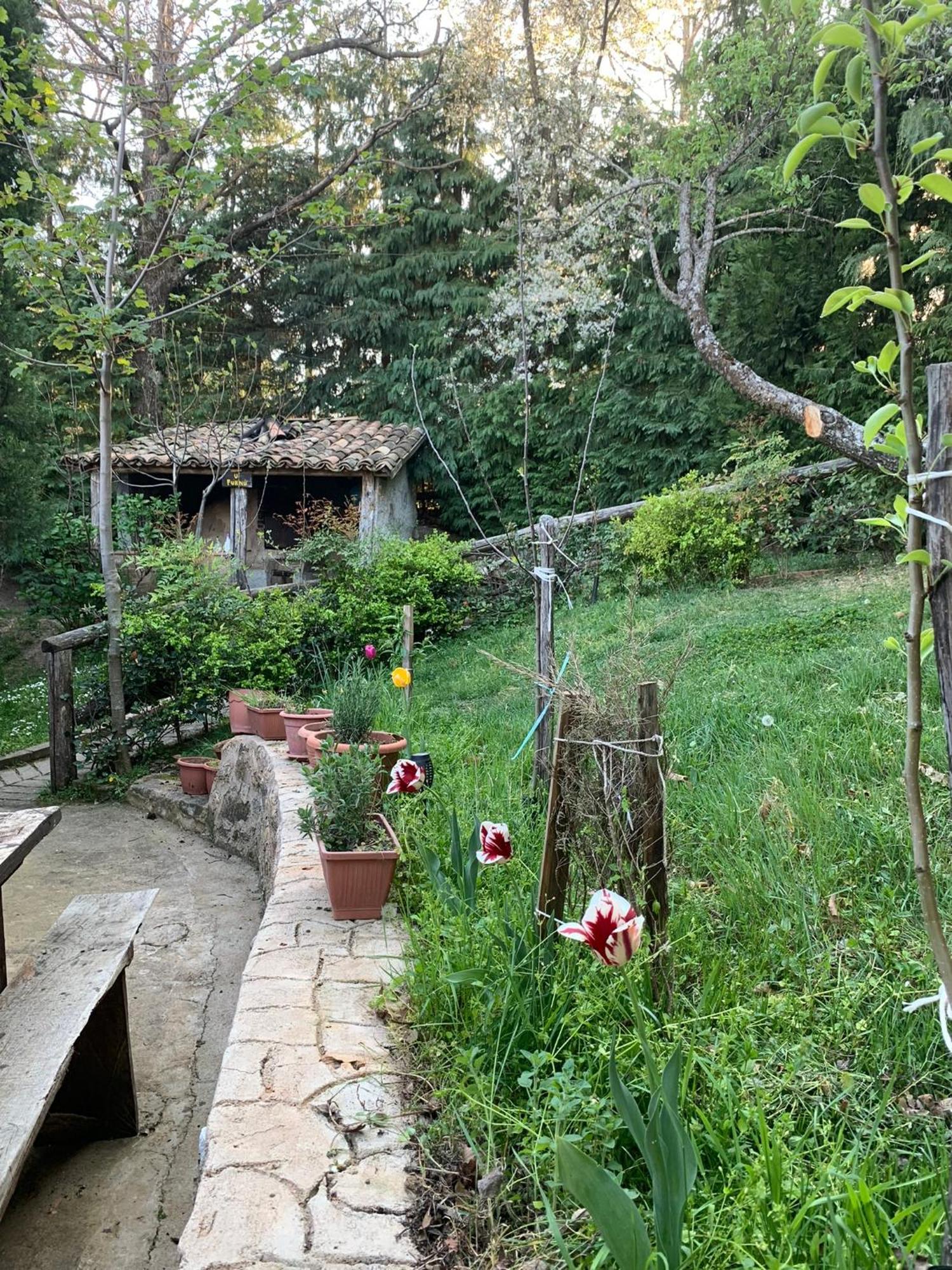 Agriturismo Carrozzino Sersale Εξωτερικό φωτογραφία